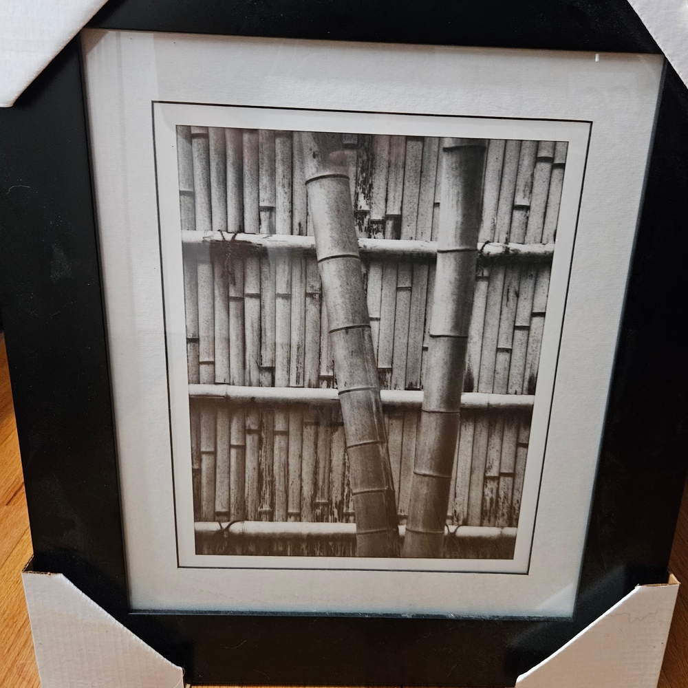 Black Framed Bamboo Wall Art